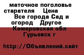 маточное поголовье старателя  › Цена ­ 3 700 - Все города Сад и огород » Другое   . Кемеровская обл.,Гурьевск г.